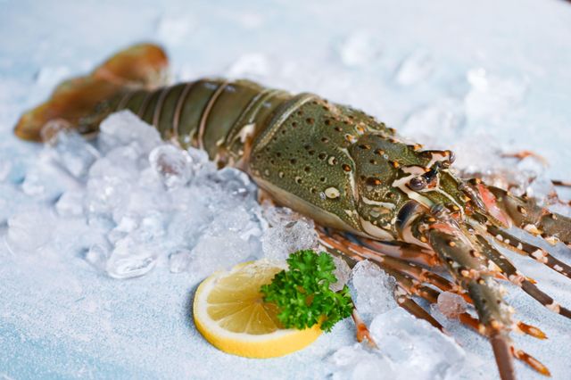 Live Lobsters - Image 1