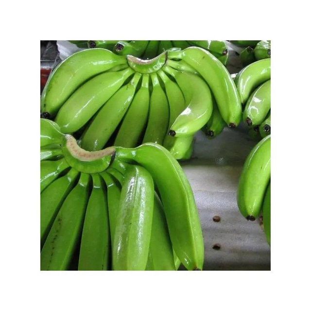 Premium Quality Fresh Green Cavendish Banana Wholesale Large Scale Supply - Image 4