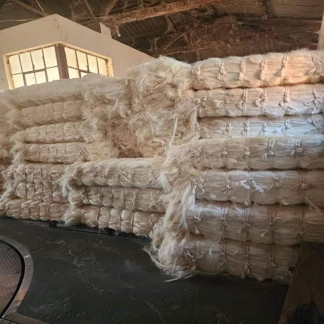 100% Natural Sisal Fiber – Factory Supply of Raw Sisal Fiber and Durable Sisal Fiber Rope for Industrial, Craft, and Commercial Use - Image 5