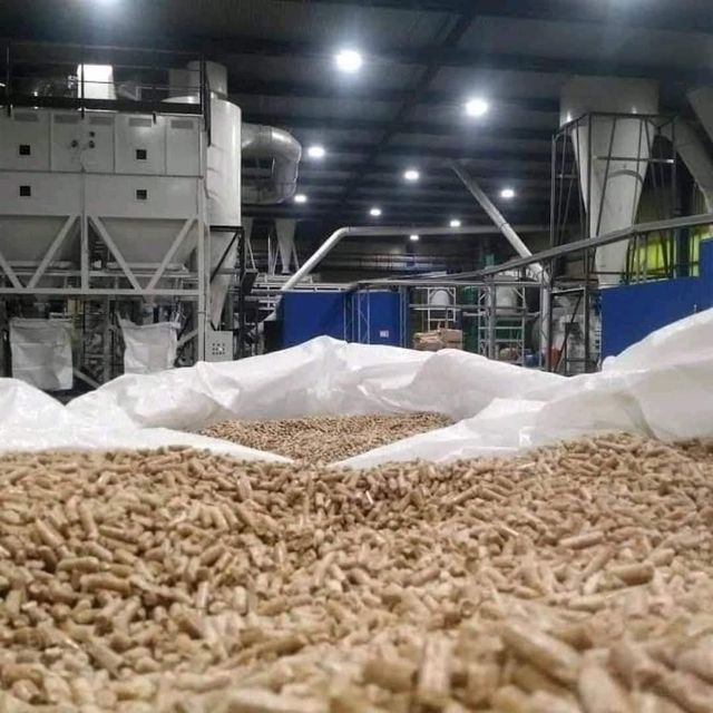 Europe Wood Pellets DIN PLUS / ENplus-A1 Wood Pellets - Image 2