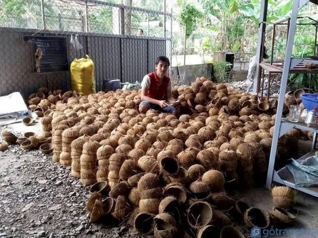 HOT DEAL EXPORT COCONUT SHELL BEST PRICE in the MARKET/ HIGH QUALITY CHEAP PRICE RAW COCONUT SHELL FROM TANZANIA +255787979235 - Image 5