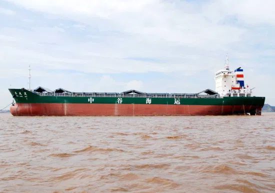 50000dwt Bulk Carrier Cargo Ship - Image 6