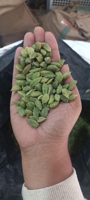 Indian Green Cardamom AGB 7–8mm | Bold Grade | 99% Purity | Export Quality - Image 2