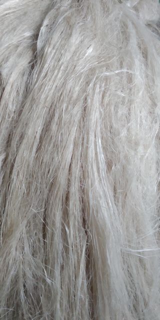 banana fiber - Image 1