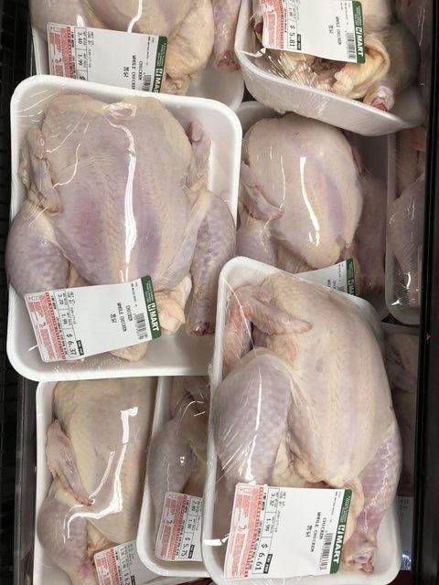 Fresh Frozen Chicken Whole and Cuts Halal Poultry Meat Supplier Export Quality - Image 4