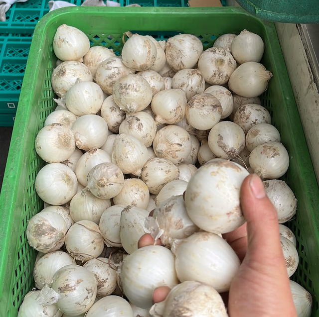 Fresh White Onions 10kg Export Bags Naturally Rich And Aromatic White Onions 80mm Flavor On Sale - Image 3