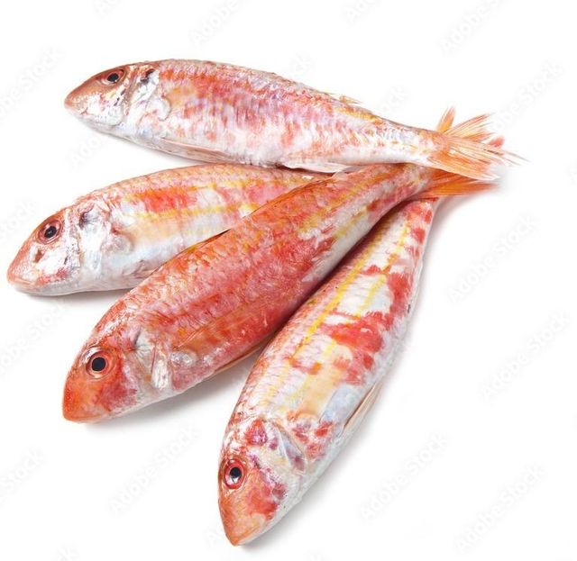 Frozen Red Mullet Top Grade 10kg Bulk Supply Wholesale Vacuum Pack OEM/ODM Service Available for Global Importers - Image 3