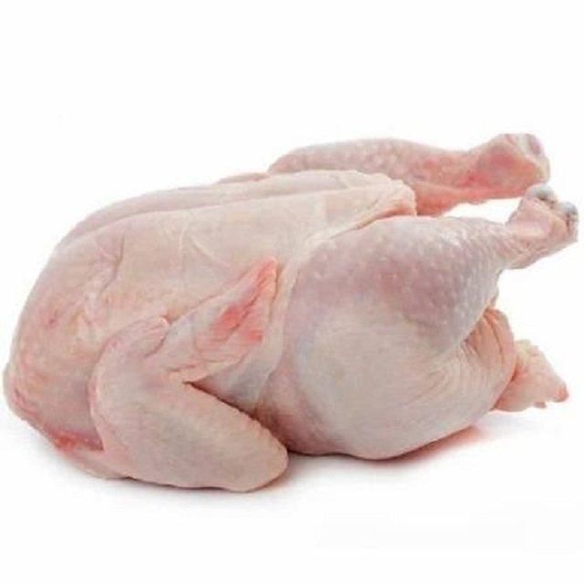 High Quality HALAL Frozen Whole Chicken From Brazilian Wholesale Frozen Chicken Breast From Brazil - Image 1