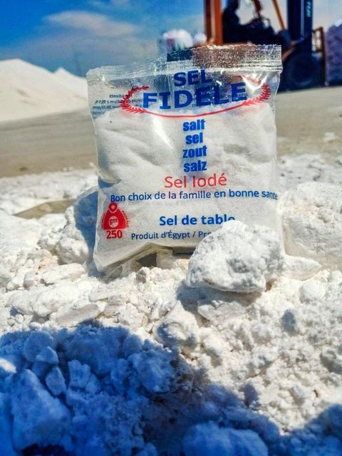 Fidele – 250 g refined Iodized Salt – High Purity Edible Grade | Food use ideal size for home cooking - Image 3