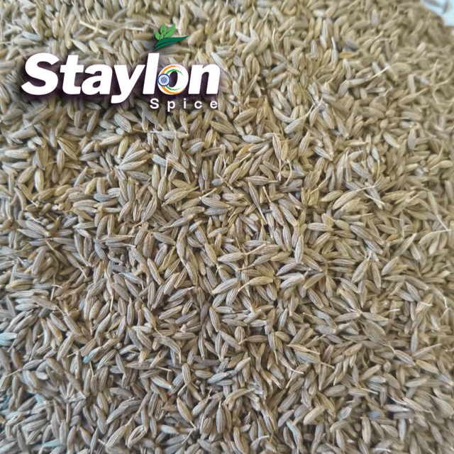Cumin Seed Place of Origin indian Origin India Shelf Life 24 Months Form Whole Seeds (sortex Cleaned) Features Gluten-Free, No - Image 2