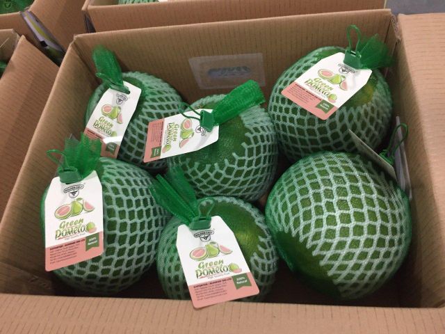 Fresh Pomelo From Vietnam Grade A Fresh Fruit Premium Quality Best Seller Fresh From Farm -WA LINDA 0084989322607 - Image 3