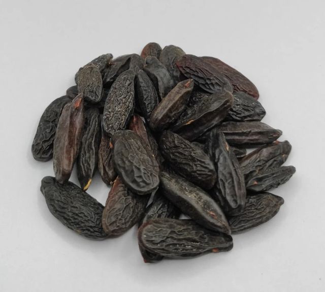 Tonka Beans - Image 4