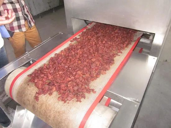 Fruit Vegetable Processing Machine Tunnel Drying Oven Vegetable Dryer Drying Machine - Image 5
