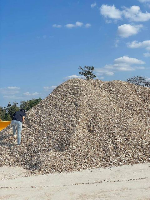 Dried Cassava Chips (Raw) Fiber Content ≤5% Starch Content ≥65% Moisture Content ≤14% Arsenic Level ≤1.0 Ppm Sand And Silica Content ≤3% - Image 5