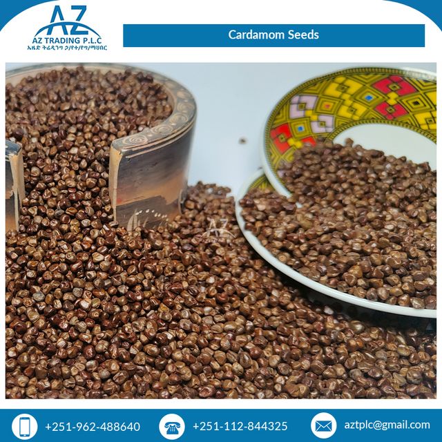 Highly Aromatic and Pleasant Taste 100% Pure Dried Black Cardamom Seeds from Reputed Wholesaler - Image 5