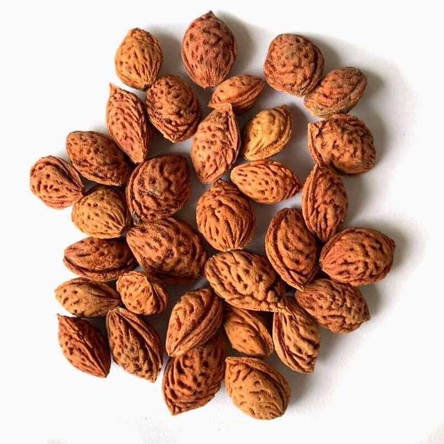 Peach Seeds for Plantation High Germination Rate Pakistan Supplier - Image 2