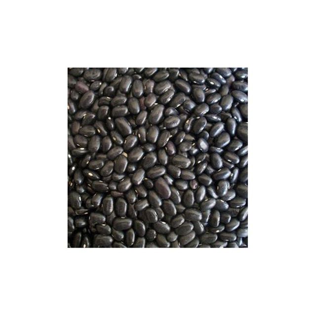 Bulk supply black kidney beans arranged for fast delivery trade channels - Image 2