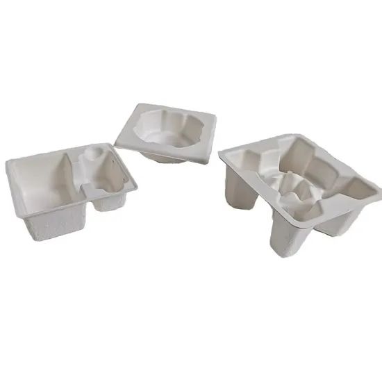 Custom Biodegradable Molded Pulp Tray Bagasse Sugarcane Pulp Insert ...