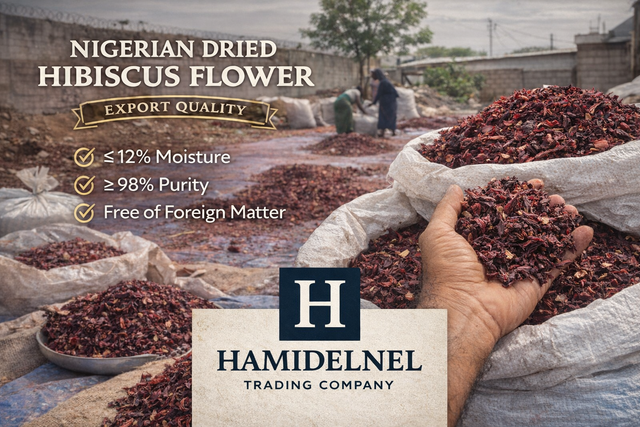 hibiscus flower - Image 5