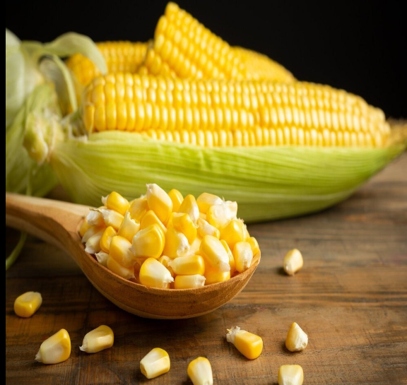Fresh Premium Grade Yellow Corn 100% Pure Natural OEM/ODM Services Available Discount Price for Bulk Supply Catering Wholesale - Image 4