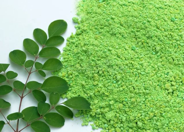 Organic Moringa powder - Image 5