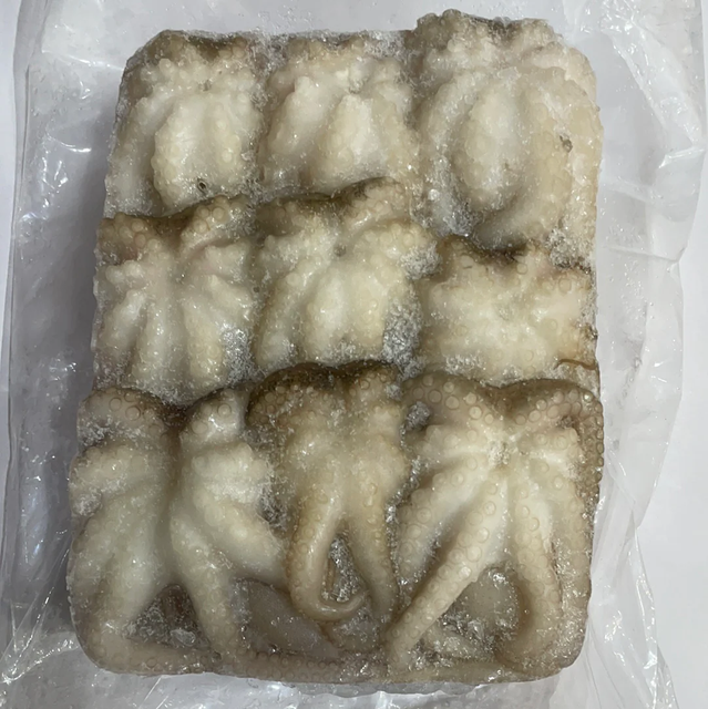 Fresh frozen baby octopus whole available for global trade with secure packaging - Image 3