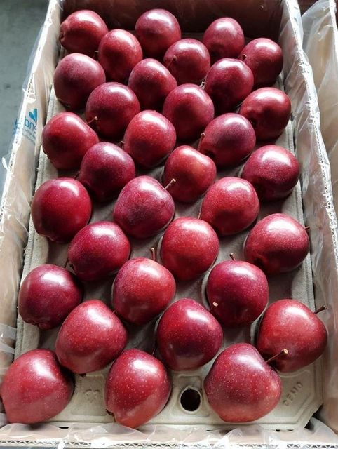 Export Quality South African Apples for sale Organic Yes Origin South Africa Quality Control Strict Shelf Life Guaranteed - Image 4