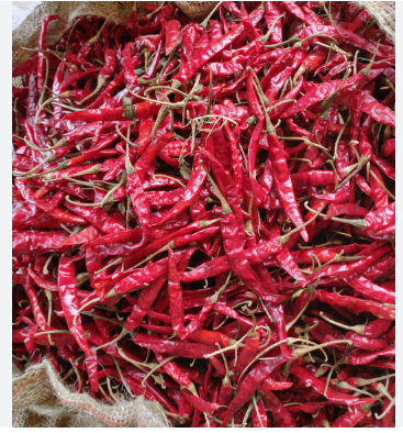 Red Chilli – product photo 1, product detail gallery
