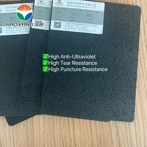 Great Value Geomembrane for Biogas Digester Width 1m~10m Origin China Suface Smooth Surface Smooth HS Code 56039490 Color Black, - Image 5