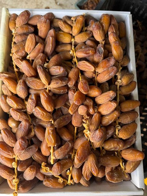 Premium Deglet Nour Dates on Branche - Algerian Origin - Image 3
