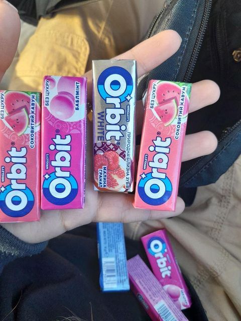 Fast Delivery Orbit Gum Candy Sugar Free Fresh Mint Gum Premium Quality Snack Alternative - Image 4