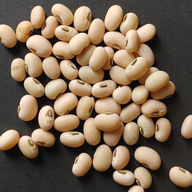 Farm Harvested Black Eyed Peas Bulk Quantity For Grain Traders And Healthy Protein Rich Black Eyed Peas For Global Buyers - Image 3