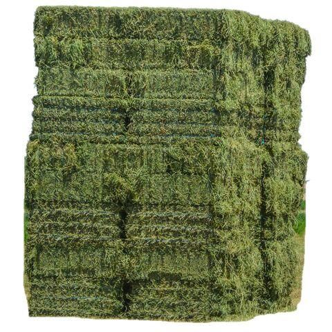 100% Alfalfa Hay Bales and Alfalfa Pellets for Animal Feed - Image 3