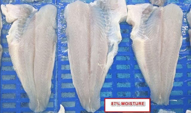 Frozen Pangasius Fillet - Image 4