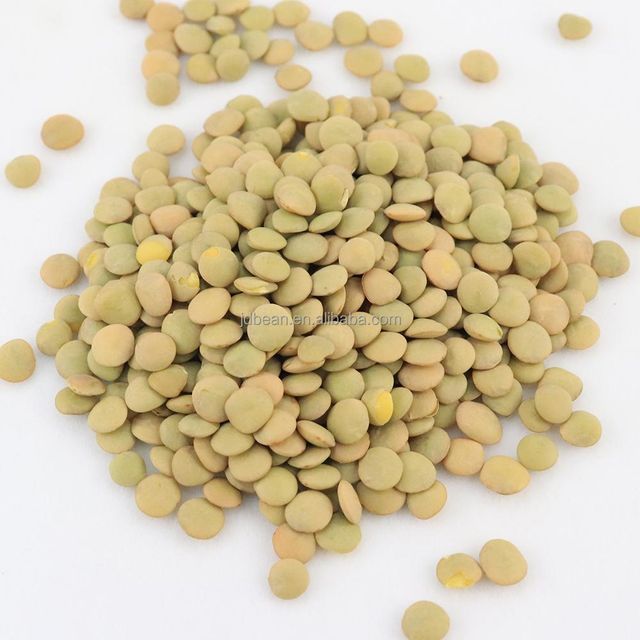 China Origin Factory Customize Raw Wholesale 7 mm Cheap Yellow Lentil Price Green Lentils Green Lentils - Image 4
