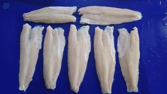 Frozen Snakehead Fish - Image 1