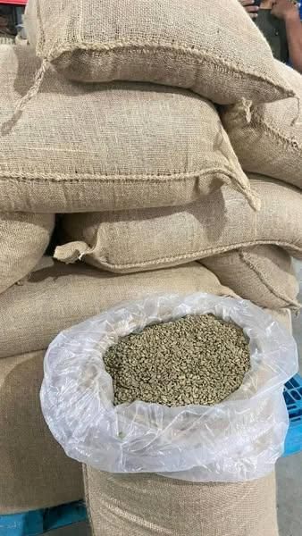 Premium ARABICA GREEN COFFEE Product - Supplier of Coffee Beans to Many Countries - Image 4