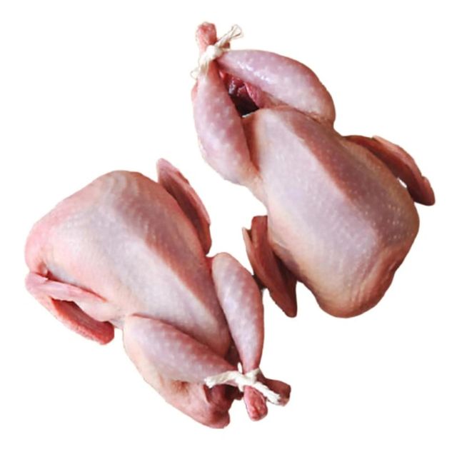 Fresh Frozen Chicken Whole Chicken and Cuts Vacuum Packed Long Shelf Life Ideal for Cooking and Processing – product photo 1, product detail gallery