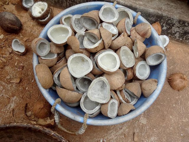 100% Natural Organic Coconut Copra Premium Grade Dried Coconut for Food, Oil, and Cosmetic Industry - Image 4