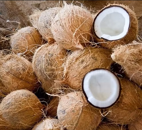 Desiccated Coconut Origin Vietnam Shelf Life Excellent Texture Thick, Creamy Weight 600–800 G/fruit Place of Origin Vietnam - Image 2