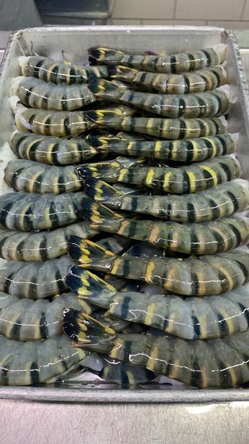 TIGER SHRIMPS - Image 1