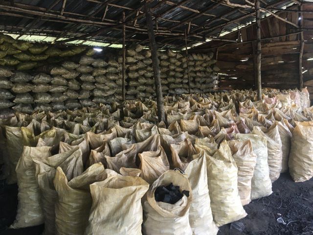 Premium Hardwood Charcoal - Image 4
