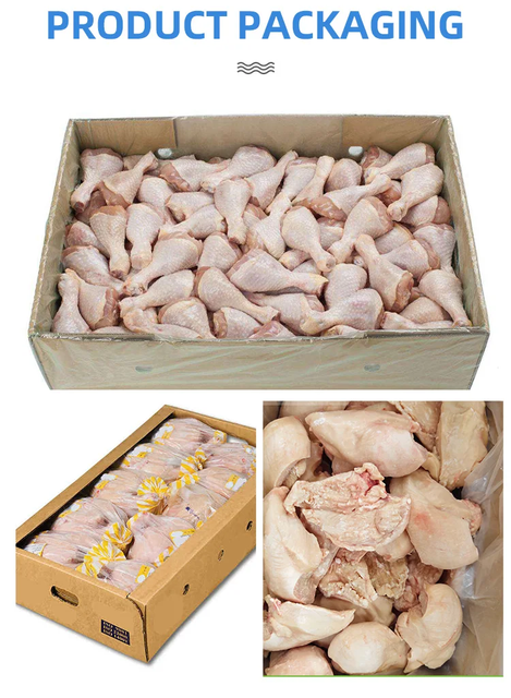 Frozen Chicken Drumstick - Chicken Drumstick - Frozen Chicken - Drumstick - Frozen - Drumstick - Chicken - Image 5