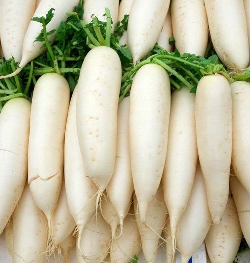 Fresh Radish Style Fresh Color White Type Radish Quality High Weight (kg) 10 Brand Name radish Certification ISO Model Number - Image 2