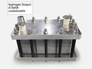 Pem Hydrogen Production System Water Electrolyzer H2 Gas Hydrogen Fuel Cell System - Image 3