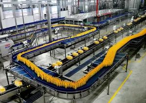 Conveyor System for Delivering Products Including Bottles Boxes Bags - Image 2