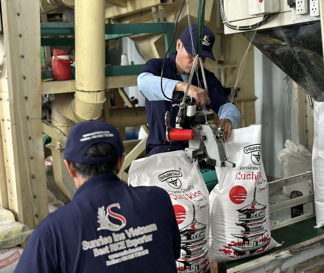 Japonica Rice - Image 4