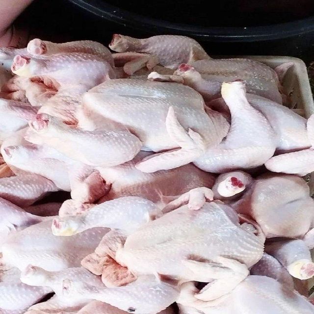 Premium Frozen Whole Chicken Farm Fresh Quality Perfect For Restaurants Catering And Family Meal Preparation - Image 4
