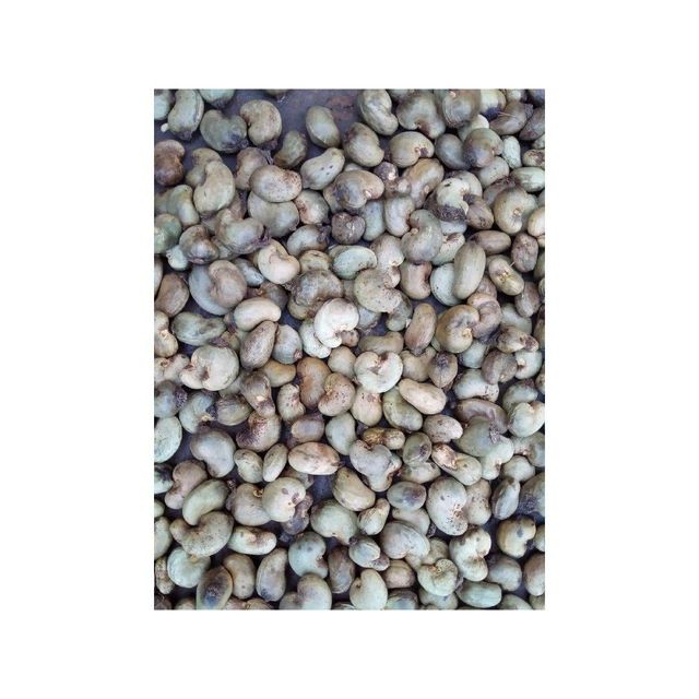 Raw Cashew Nuts offered at discount price for snack food and nut processing industries - Image 3