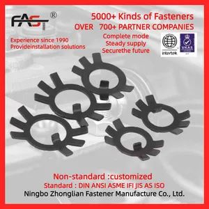 GB858 Plate Washer Spring Washers for Round Nuts Stainless Steel Stop Nuts - Image 1